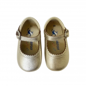 Goudkleurig bandschoentje - 2100